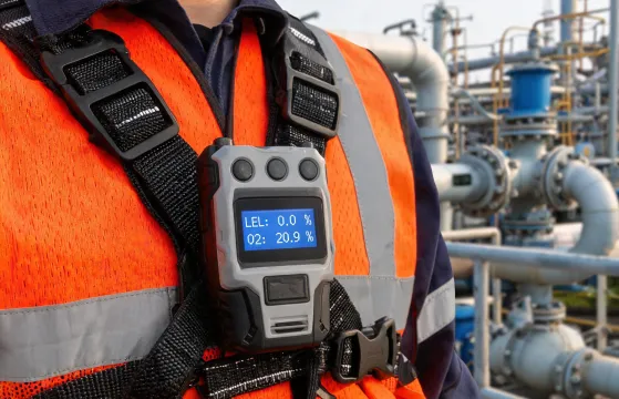 Portable gas detector